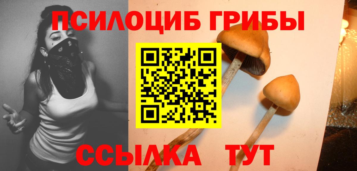 Кинель  Псилоцибиновые грибы MAGIC MUSHROOMS  Вход с VPN  Галлюциногенные грибы GOLDEN TEACHER 